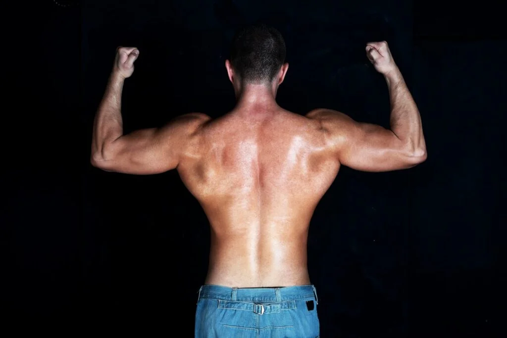 how to grow shoulder muscles
