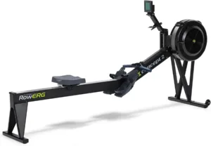 Concept 2 Rower RowErg Model E Indoor Rowing Machine with Tall Legs